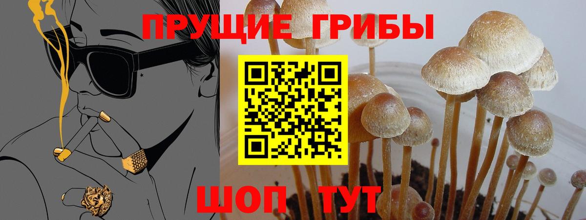 Слободской  Галлюциногенные грибы Magic Shrooms  Галлюциногенные грибы Psilocybe  Вход с VPN 